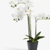 MATINUSPlanta artificial MATINUS A62cm orquídea blanca