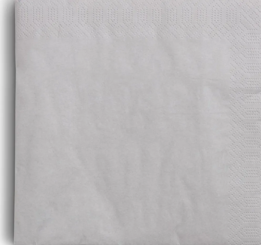 MOLTEServilletas de papel MOLTE gris 40x40 50 unidades