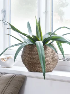 SIVERTMaceta SIVERT Ø26xA23cm marrón