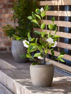 SOLOPGANGPlanta artificial SOLOPGANG A80 rosal blanco